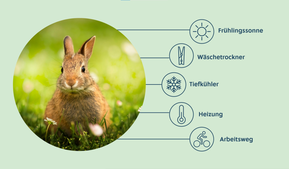 Infografik zu den Energiespartipps im Frühling