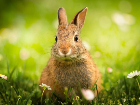 Frühling voller Energiespartipps