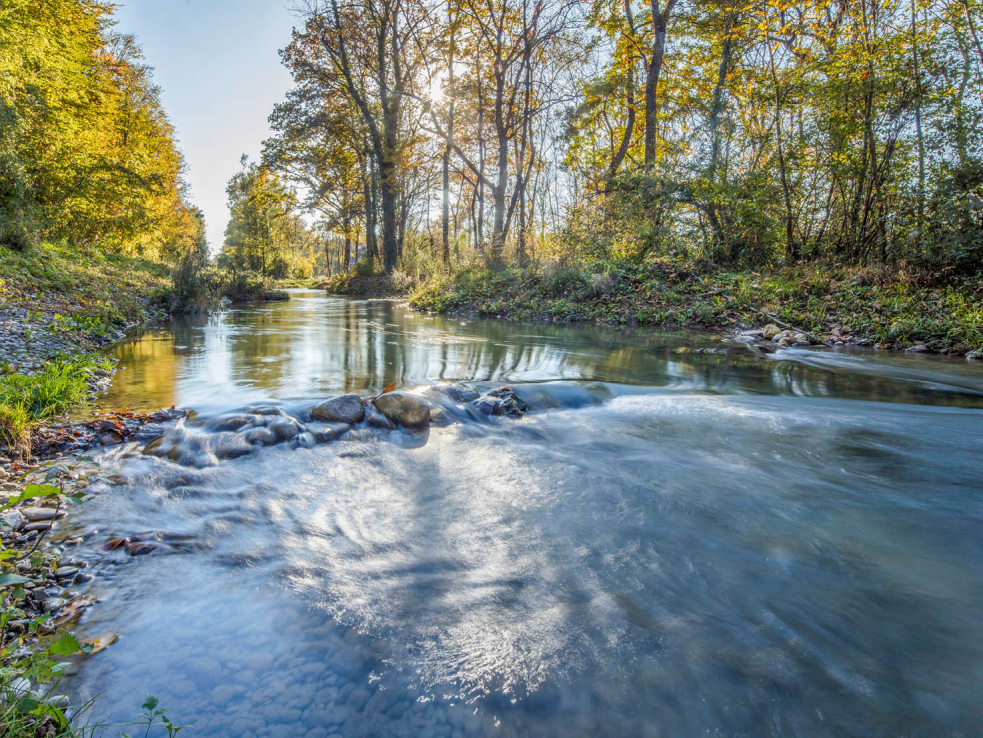 Alte Aare bei Lyss